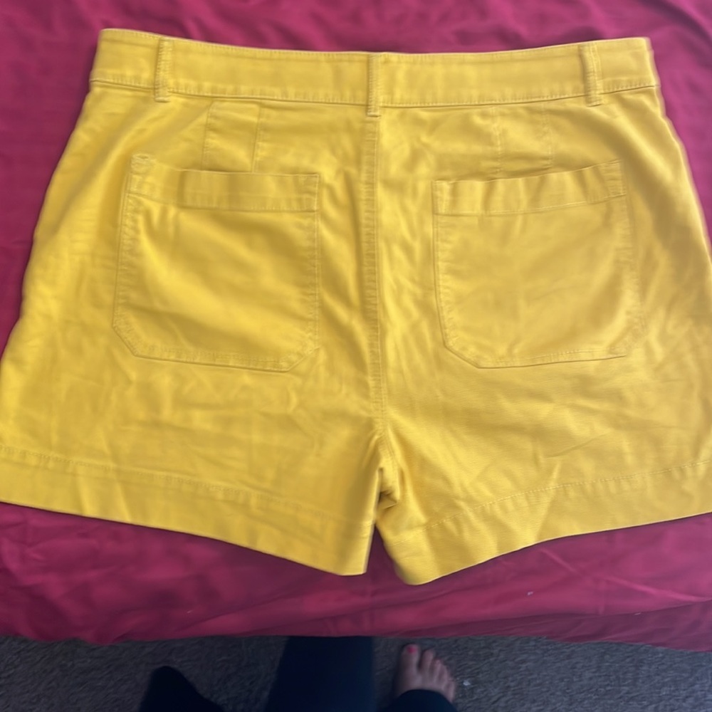 Loft shorts - Picture 4 of 4